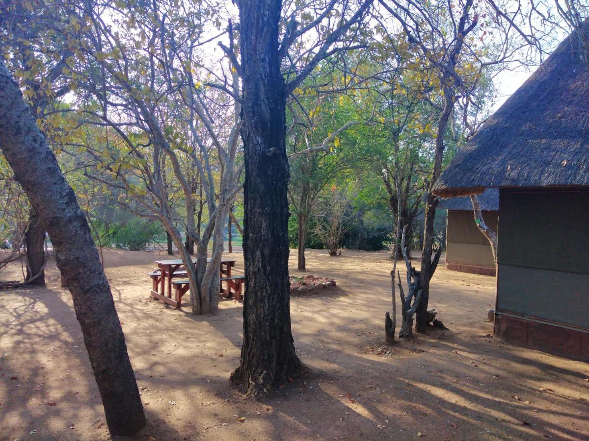 Nthakeni Bush & River Camp Pafuri Gate 外观 照片